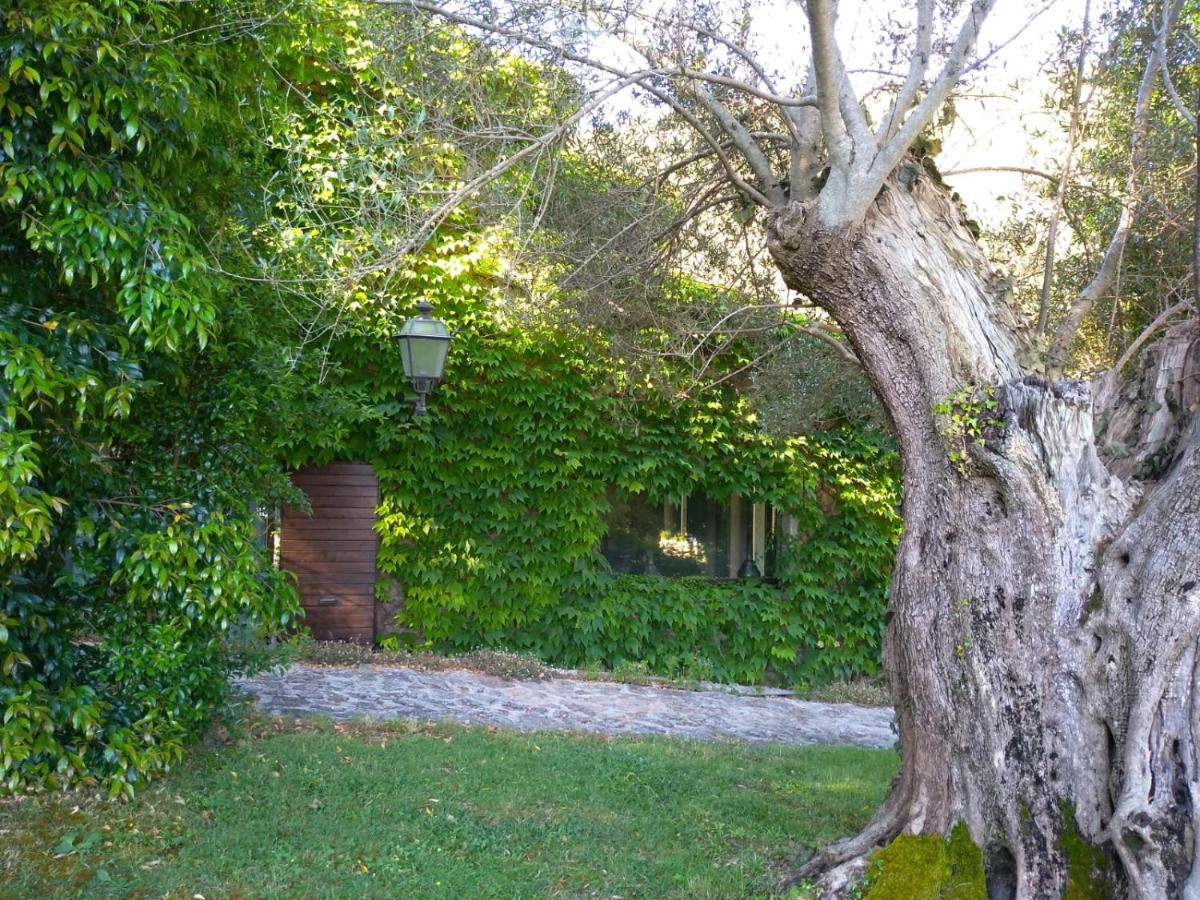 L'Agnata Di De Andre Boutique Hotel Tempio Pausania Exterior foto